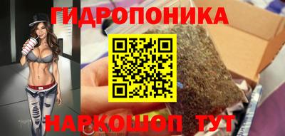 гашик Ливны