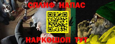 гашик Ливны