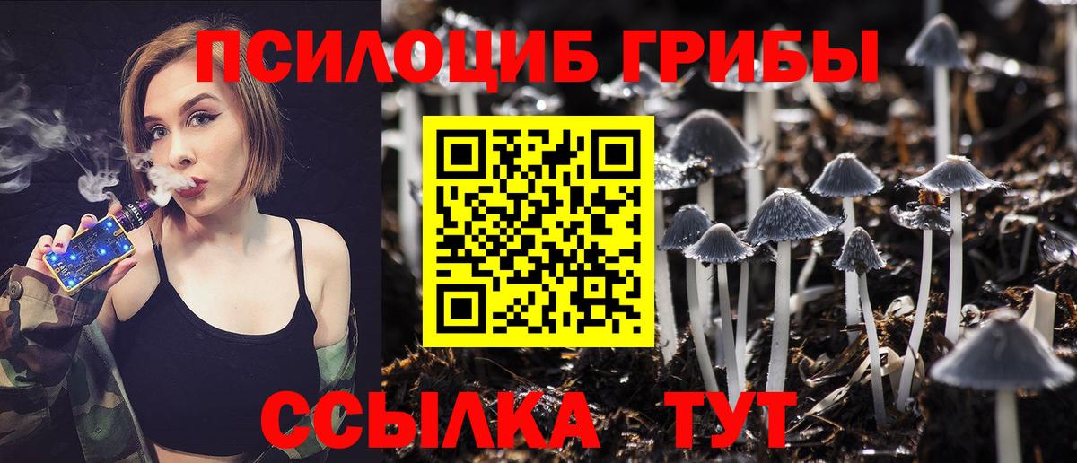 Елец  Галлюциногенные грибы Psilocybine cubensis  Вход с VPN  как найти закладки  Псилоцибиновые грибы мухоморы 